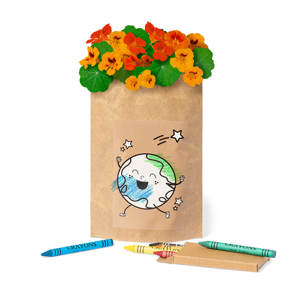 Sachet de graines de fleurs - image 3